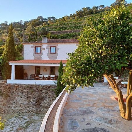 Country House Quinta Da Salgueira Алижо Экстерьер фото