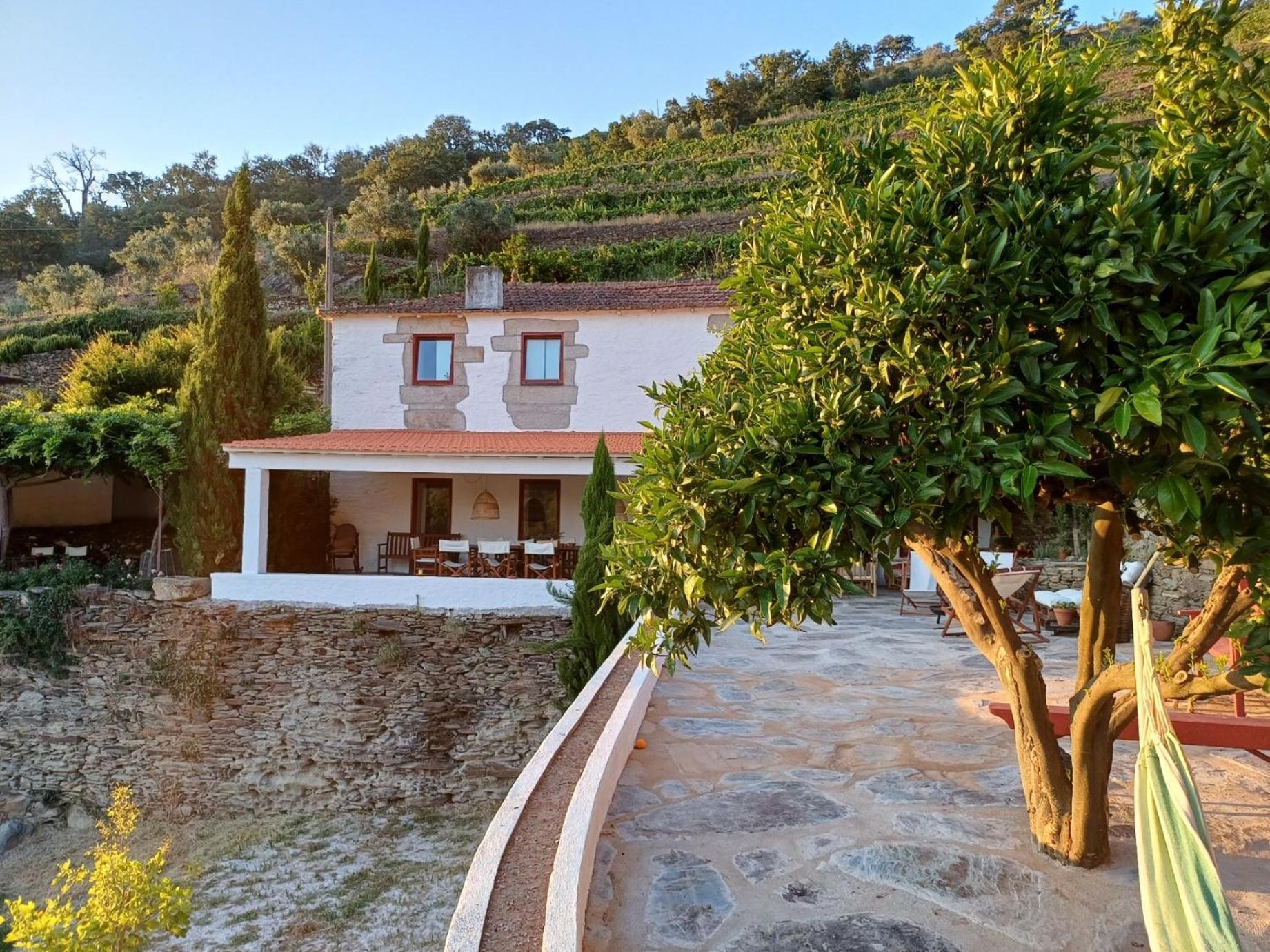 Country House Quinta Da Salgueira Алижо Экстерьер фото